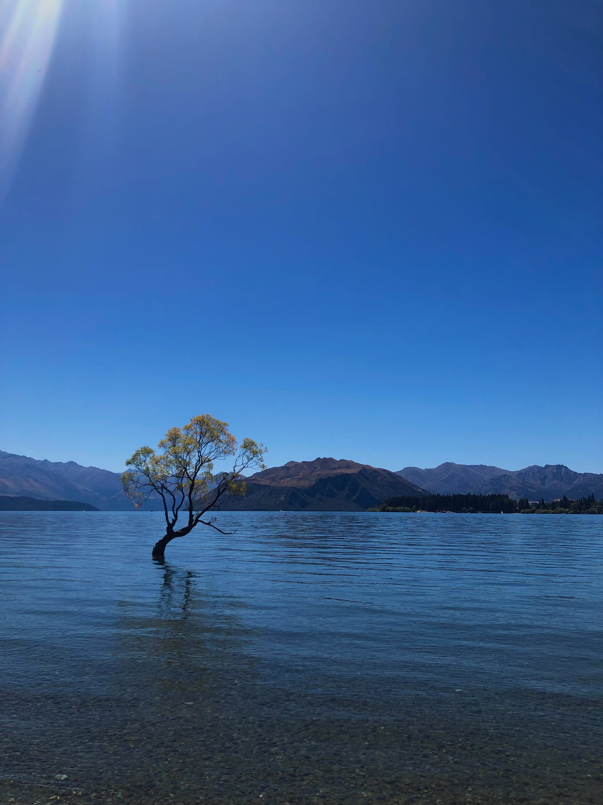 My Trip to New Zealand - Week 4: Lost my breath at the roys peak summit (E)