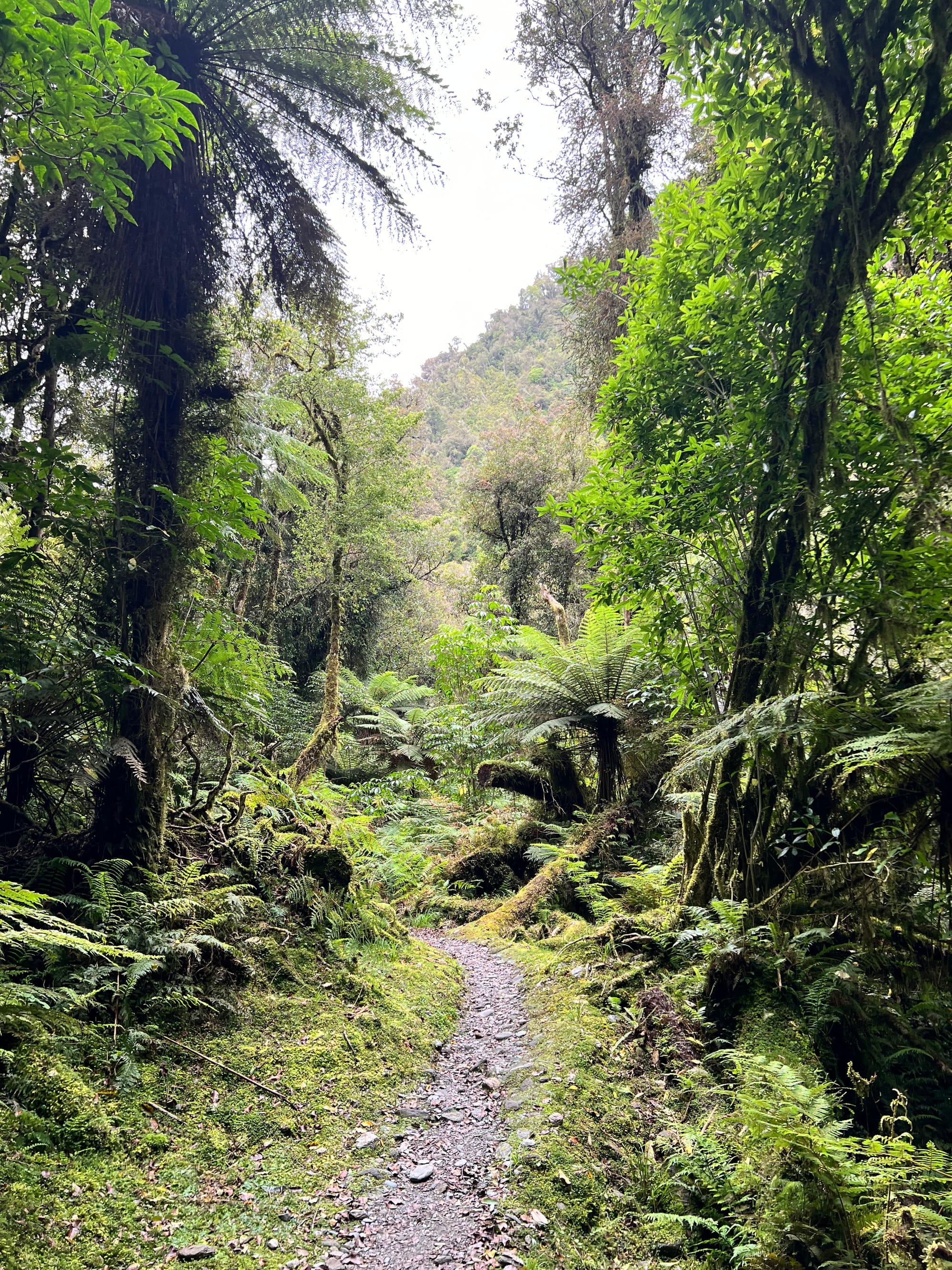 My Trip to New Zealand - Week 4: Lost my breath at the roys peak summit (E)